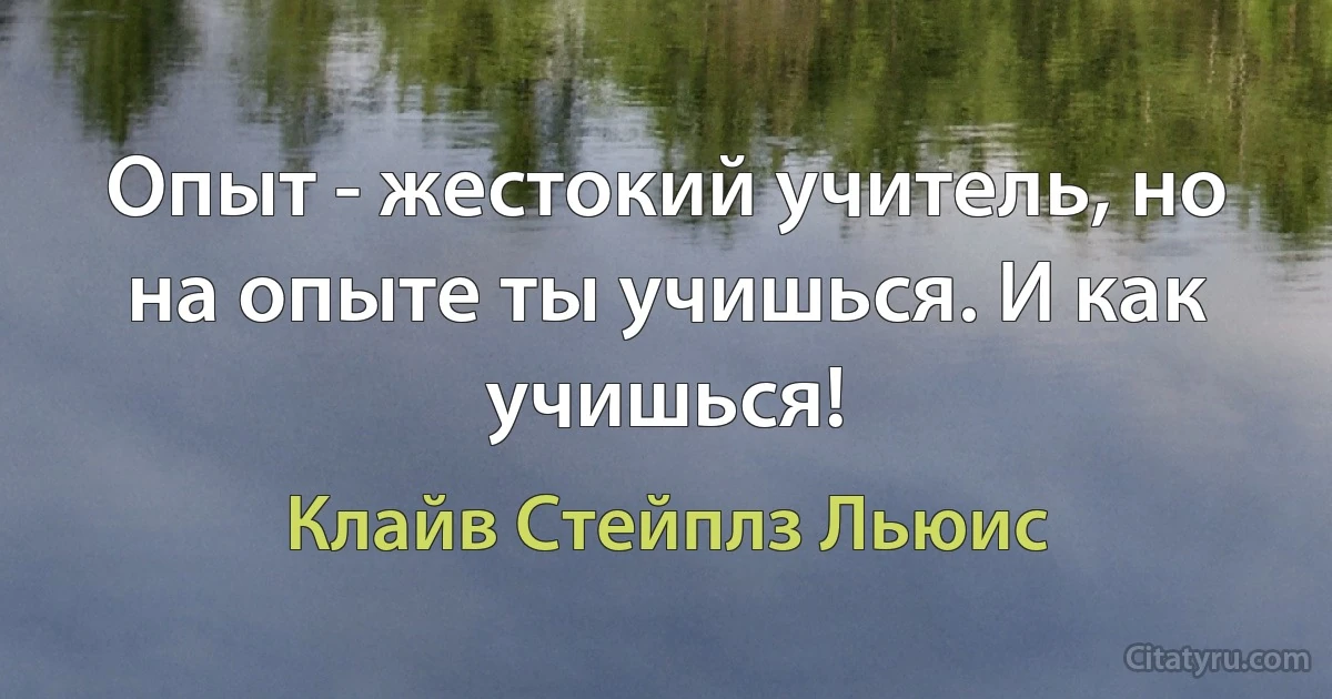 Опыт - жестокий учитель, но на опыте ты учишься. И как учишься! (Клайв Стейплз Льюис)