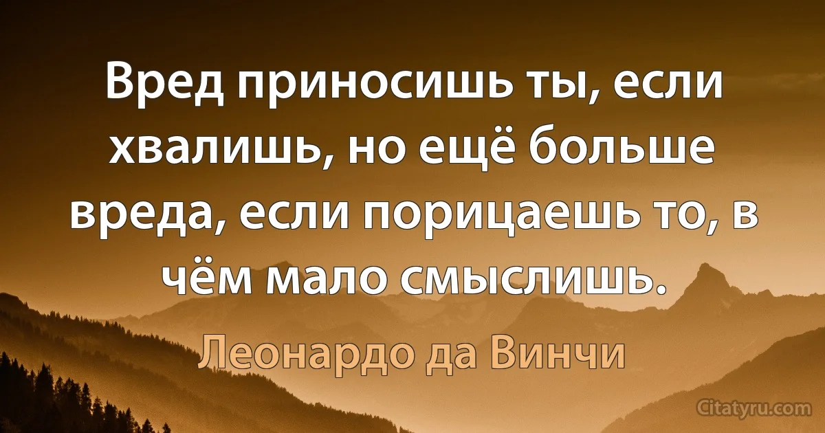 Вред приносишь ты, если хвалишь, но ещё больше вреда, если порицаешь то, в чём мало смыслишь. (Леонардо да Винчи)