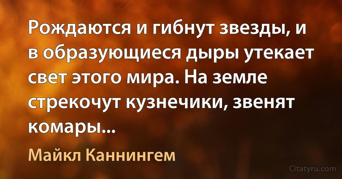 Рождаются и гибнут звезды, и в образующиеся дыры утекает свет этого мира. На земле стрекочут кузнечики, звенят комары... (Майкл Каннингем)