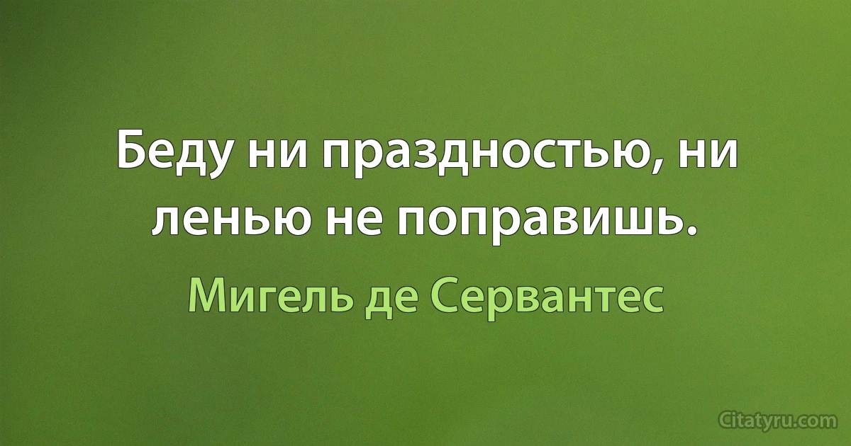 Беду ни праздностью, ни ленью не поправишь. (Мигель де Сервантес)