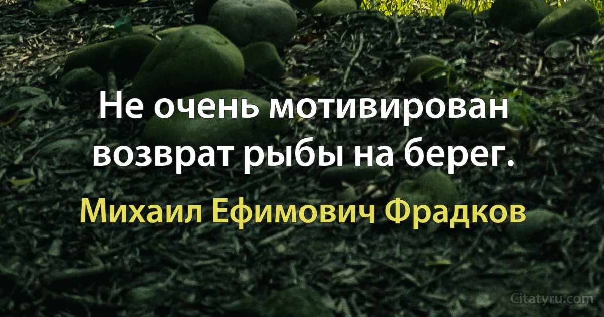 Не очень мотивирован возврат рыбы на берег. (Михаил Ефимович Фрадков)