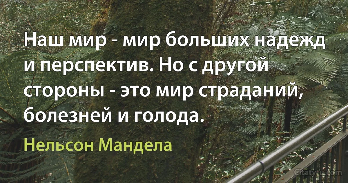 Наш мир - мир больших надежд и перспектив. Но с другой стороны - это мир страданий, болезней и голода. (Нельсон Мандела)