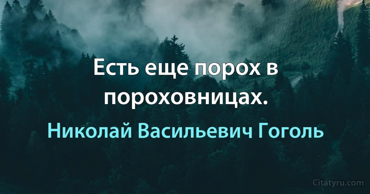 Есть еще порох в пороховницах. (Николай Васильевич Гоголь)