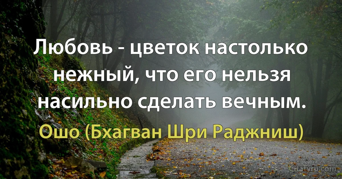 Любовь - цветок настолько нежный, что его нельзя насильно сделать вечным. (Ошо (Бхагван Шри Раджниш))