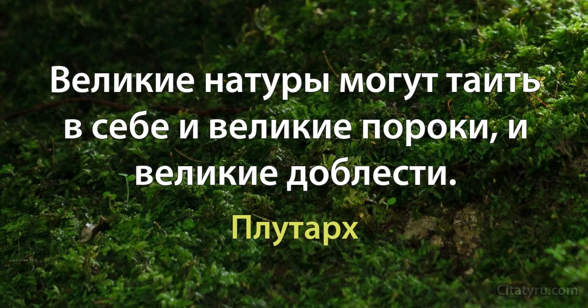 Великие натуры могут таить в себе и великие пороки, и великие доблести. (Плутарх)