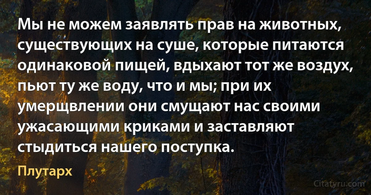 Мы не можем заявлять прав на животных, существующих на суше, которые питаются одинаковой пищей, вдыхают тот же воздух, пьют ту же воду, что и мы; при их умерщвлении они смущают нас своими ужасающими криками и заставляют стыдиться нашего поступка. (Плутарх)