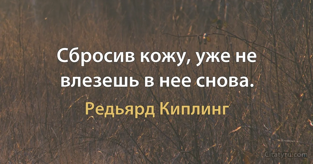 Сбросив кожу, уже не влезешь в нее снова. (Редьярд Киплинг)