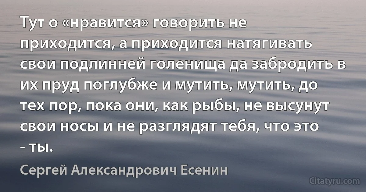 Тут о «нравится» говорить не приходится, а приходится натягивать свои подлинней голенища да забродить в их пруд поглубже и мутить, мутить, до тех пор, пока они, как рыбы, не высунут свои носы и не разглядят тебя, что это - ты. (Сергей Александрович Есенин)