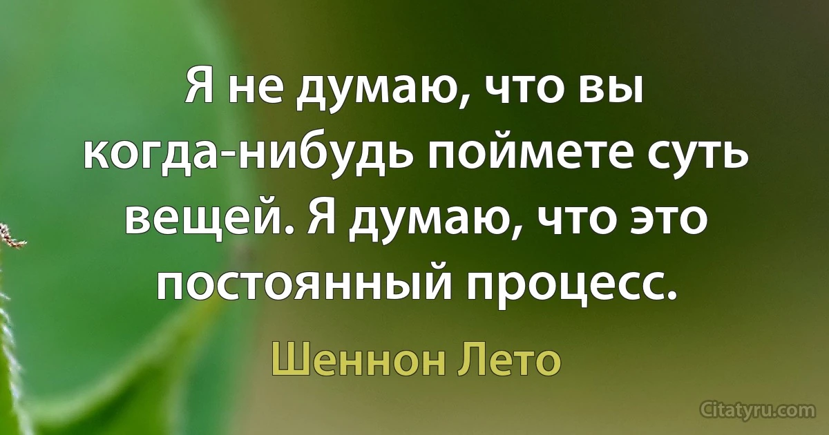 Я не думаю, что вы когда-нибудь поймете суть вещей. Я думаю, что это постоянный процесс. (Шеннон Лето)