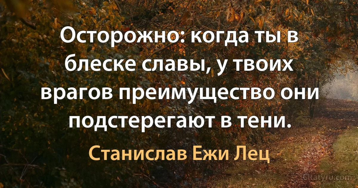 Осторожно: когда ты в блеске славы, у твоих врагов преимущество они подстерегают в тени. (Станислав Ежи Лец)