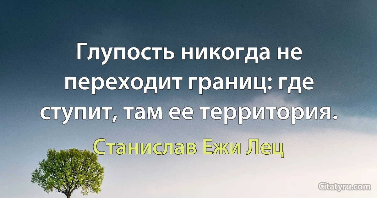 Глупость никогда не переходит границ: где ступит, там ее территория. (Станислав Ежи Лец)