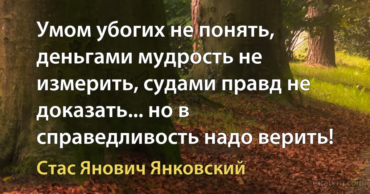 Умом убогих не понять, деньгами мудрость не измерить, судами правд не доказать... но в справедливость надо верить! (Стас Янович Янковский)