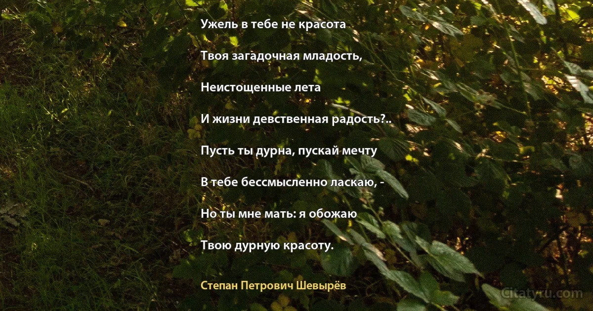 Ужель в тебе не красота

Твоя загадочная младость,

Неистощенные лета

И жизни девственная радость?..

Пусть ты дурна, пускай мечту

В тебе бессмысленно ласкаю, -

Но ты мне мать: я обожаю

Твою дурную красоту. (Степан Петрович Шевырёв)