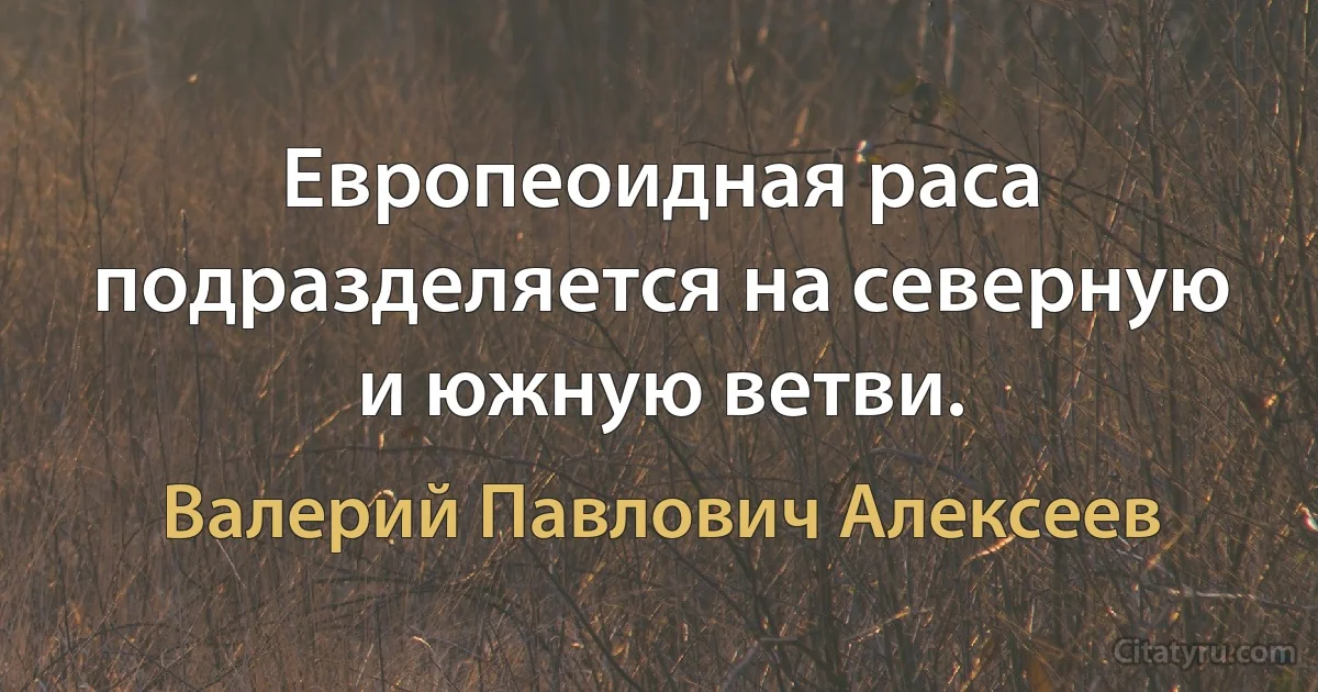 Европеоидная раса подразделяется на северную и южную ветви. (Валерий Павлович Алексеев)