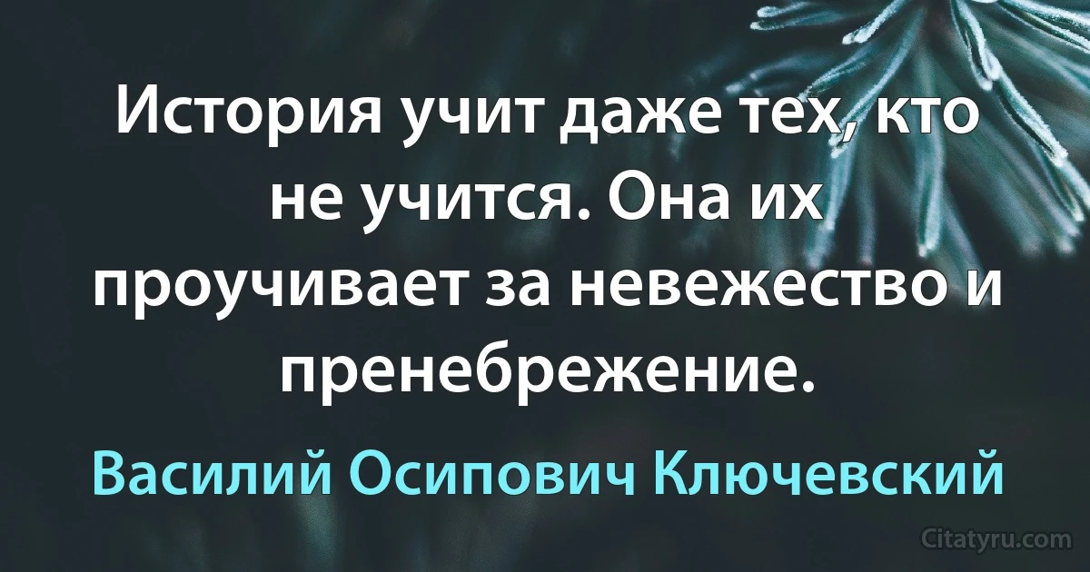 История учит даже тех, кто не учится. Она их проучивает за невежество и пренебрежение. (Василий Осипович Ключевский)