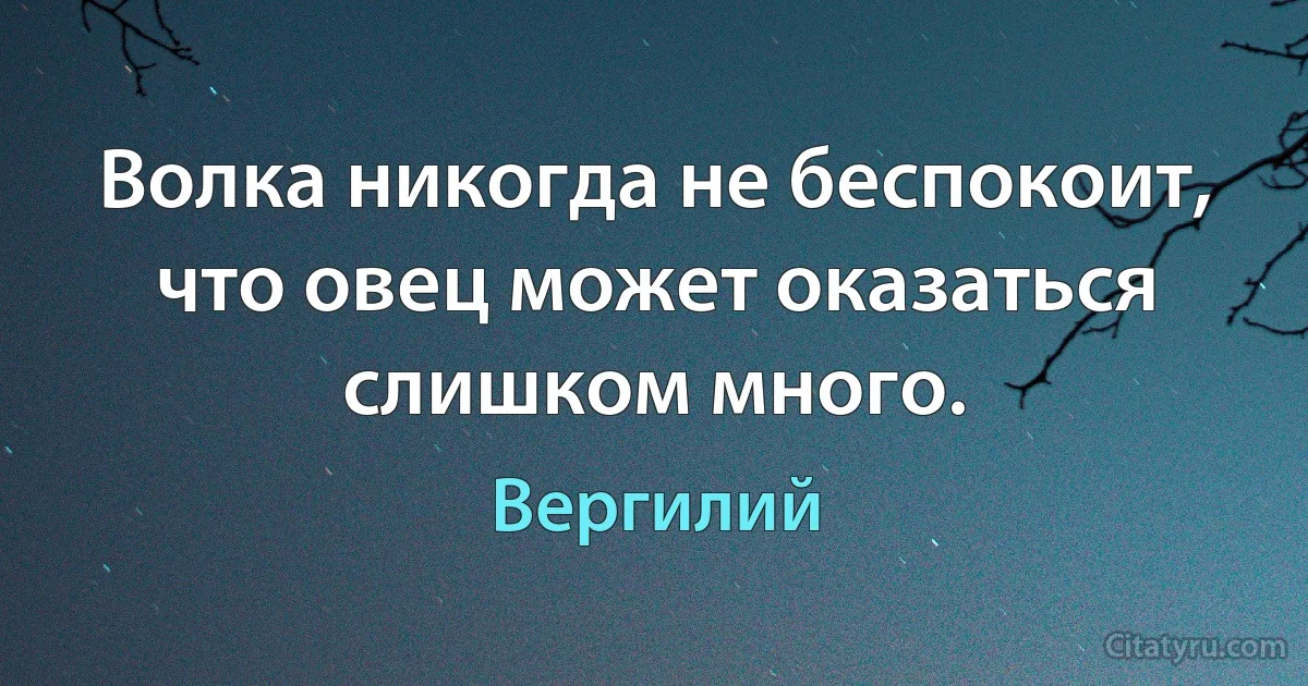 Волка никогда не беспокоит, что овец может оказаться слишком много. (Вергилий)