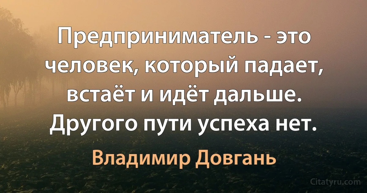 Предприниматель - это человек, который падает, встаёт и идёт дальше. Другого пути успеха нет. (Владимир Довгань)