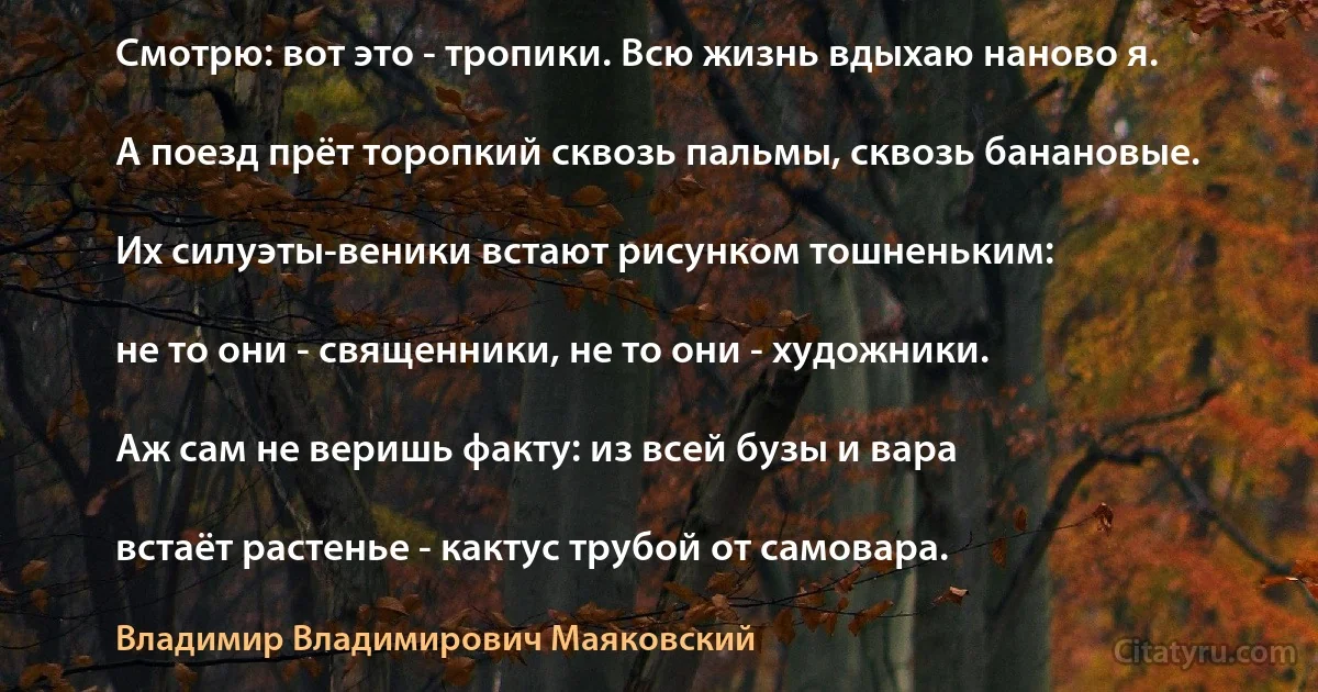 Смотрю: вот это - тропики. Всю жизнь вдыхаю наново я.

А поезд прёт торопкий сквозь пальмы, сквозь банановые.

Их силуэты-веники встают рисунком тошненьким:

не то они - священники, не то они - художники.

Аж сам не веришь факту: из всей бузы и вара

встаёт растенье - кактус трубой от самовара. (Владимир Владимирович Маяковский)