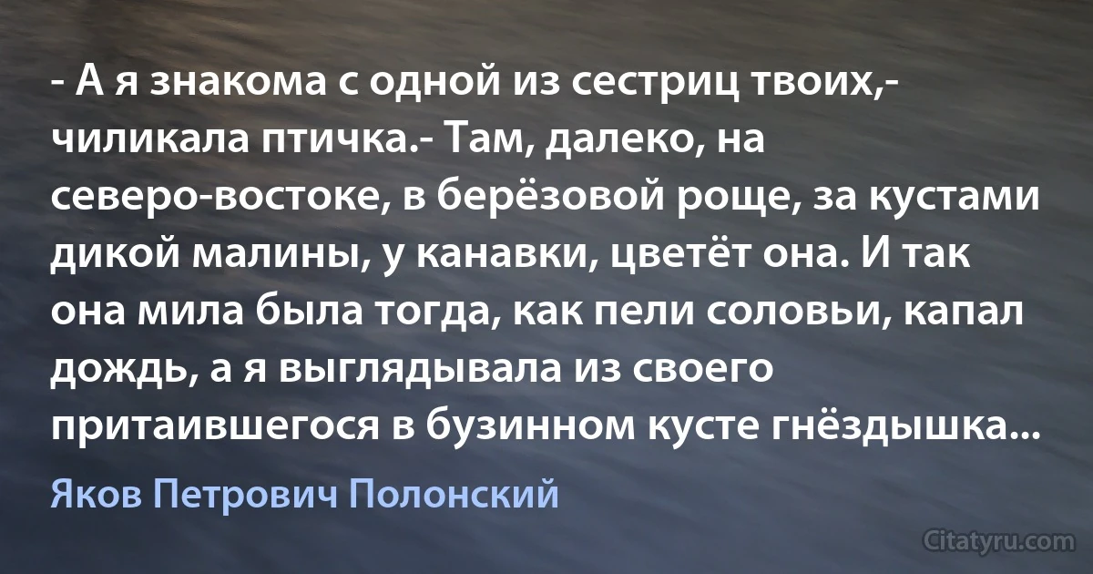 - А я знакома с одной из сестриц твоих,- чиликала птичка.- Там, далеко, на северо-востоке, в берёзовой роще, за кустами дикой малины, у канавки, цветёт она. И так она мила была тогда, как пели соловьи, капал дождь, а я выглядывала из своего притаившегося в бузинном кусте гнёздышка... (Яков Петрович Полонский)