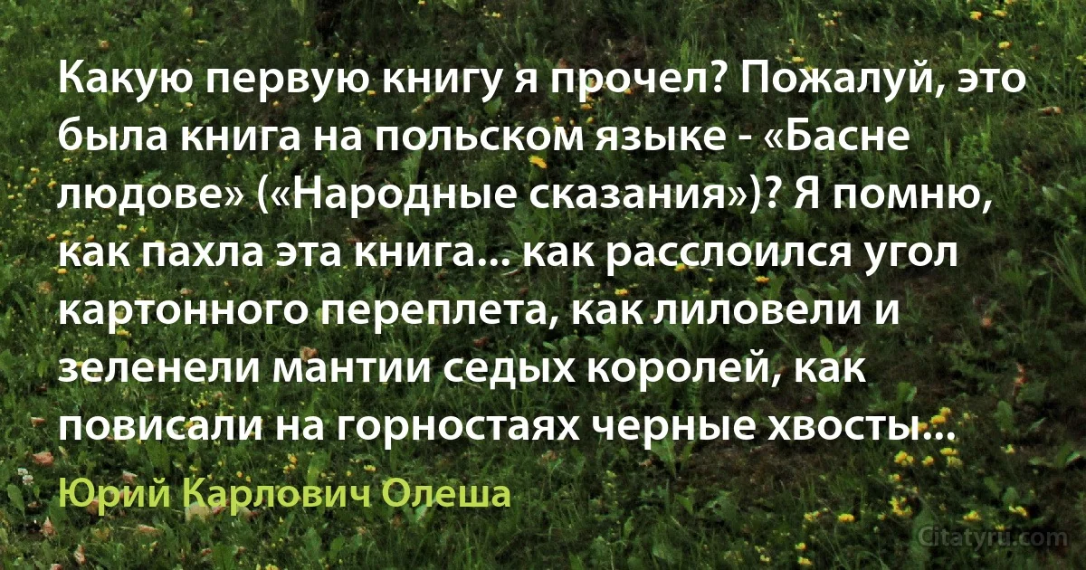 Какую первую книгу я прочел? Пожалуй, это была книга на польском языке - «Басне людове» («Народные сказания»)? Я помню, как пахла эта книга... как расслоился угол картонного переплета, как лиловели и зеленели мантии седых королей, как повисали на горностаях черные хвосты... (Юрий Карлович Олеша)