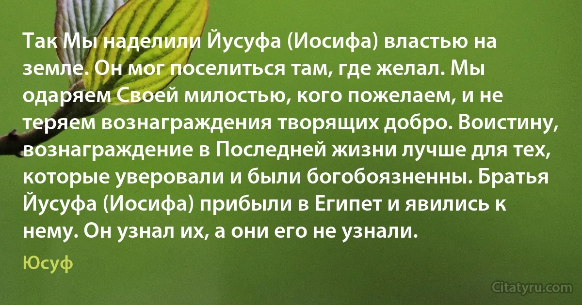 Так Мы наделили Йусуфа (Иосифа) властью на земле. Он мог поселиться там, где желал. Мы одаряем Своей милостью, кого пожелаем, и не теряем вознаграждения творящих добро. Воистину, вознаграждение в Последней жизни лучше для тех, которые уверовали и были богобоязненны. Братья Йусуфа (Иосифа) прибыли в Египет и явились к нему. Он узнал их, а они его не узнали. (Юсуф)