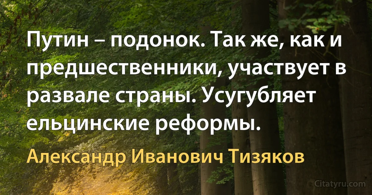 Путин – подонок. Так же, как и предшественники, участвует в развале страны. Усугубляет ельцинские реформы. (Александр Иванович Тизяков)