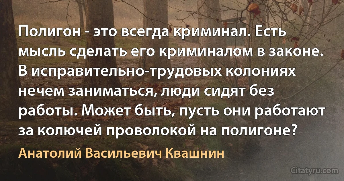 Полигон - это всегда криминал. Есть мысль сделать его криминалом в законе. В исправительно-трудовых колониях нечем заниматься, люди сидят без работы. Может быть, пусть они работают за колючей проволокой на полигоне? (Анатолий Васильевич Квашнин)