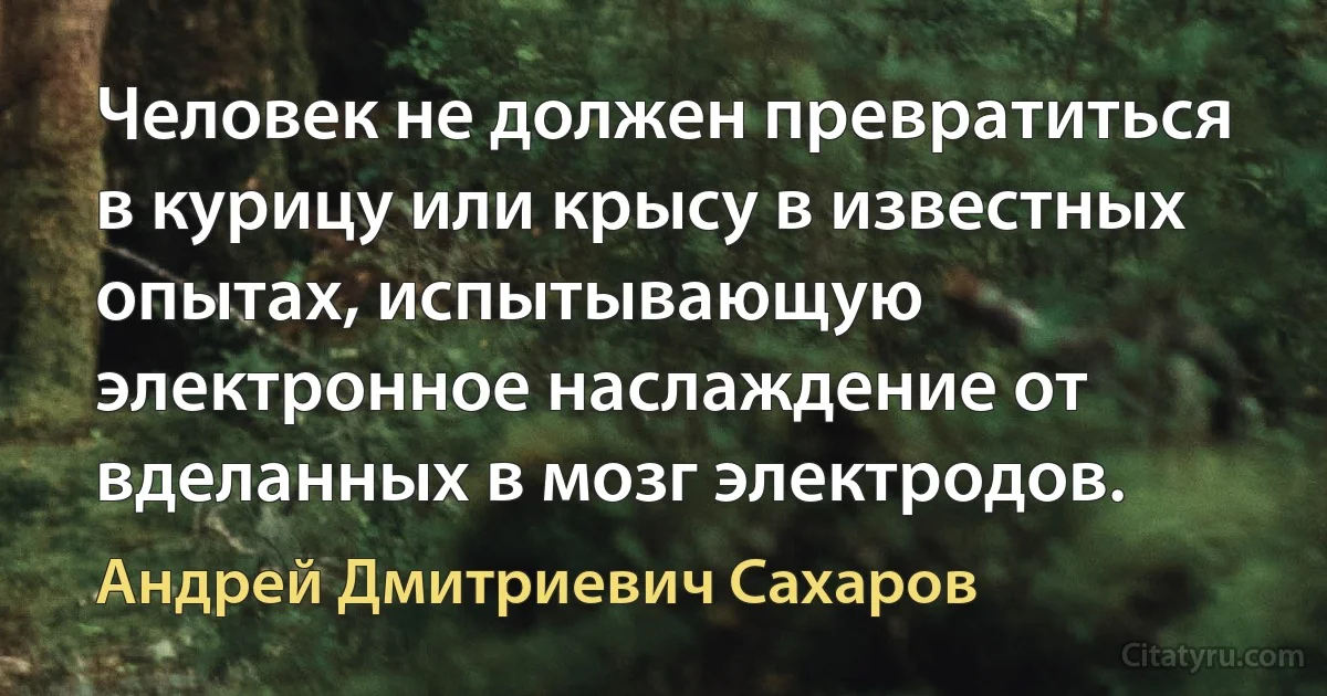 Человек не должен превратиться в курицу или крысу в известных опытах, испытывающую электронное наслаждение от вделанных в мозг электродов. (Андрей Дмитриевич Сахаров)