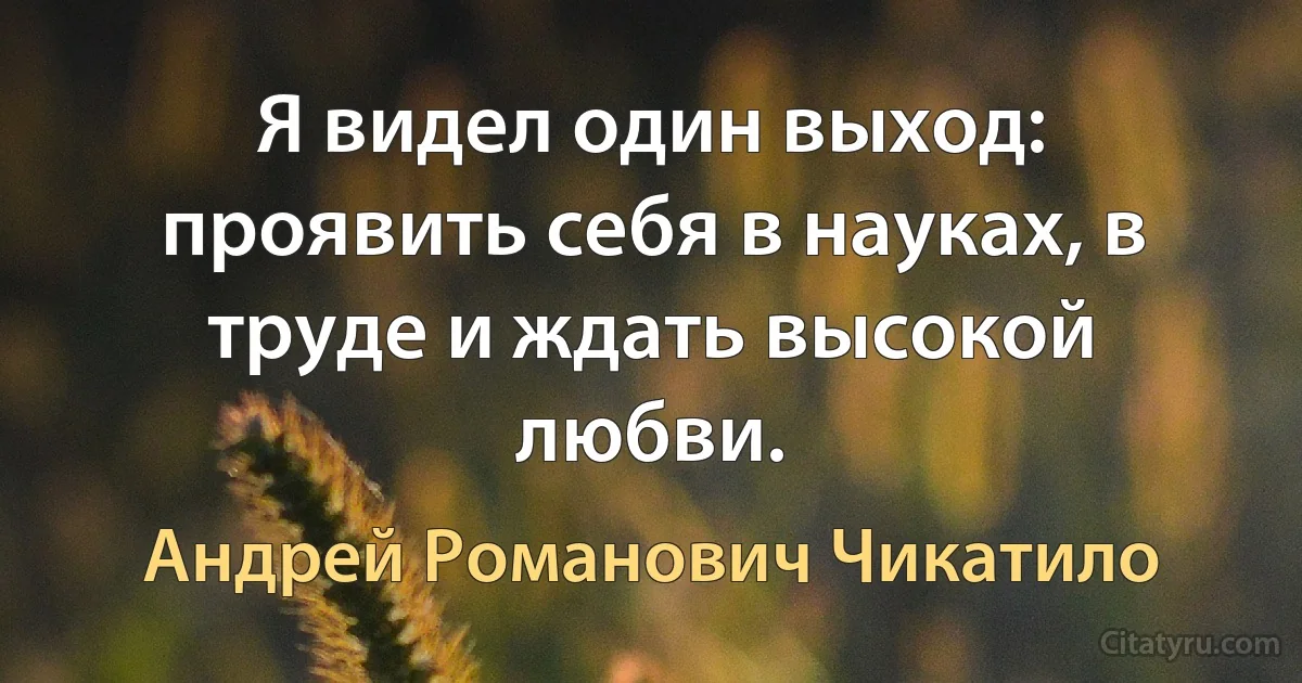 Я видел один выход: проявить себя в науках, в труде и ждать высокой любви. (Андрей Романович Чикатило)