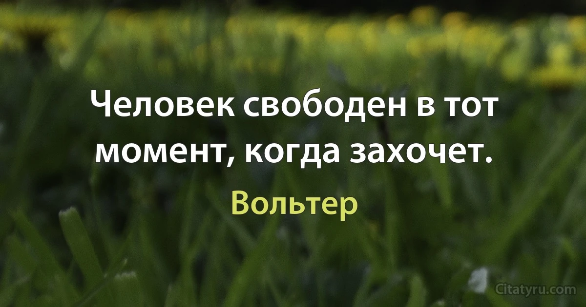 Человек свободен в тот момент, когда захочет. (Вольтер)