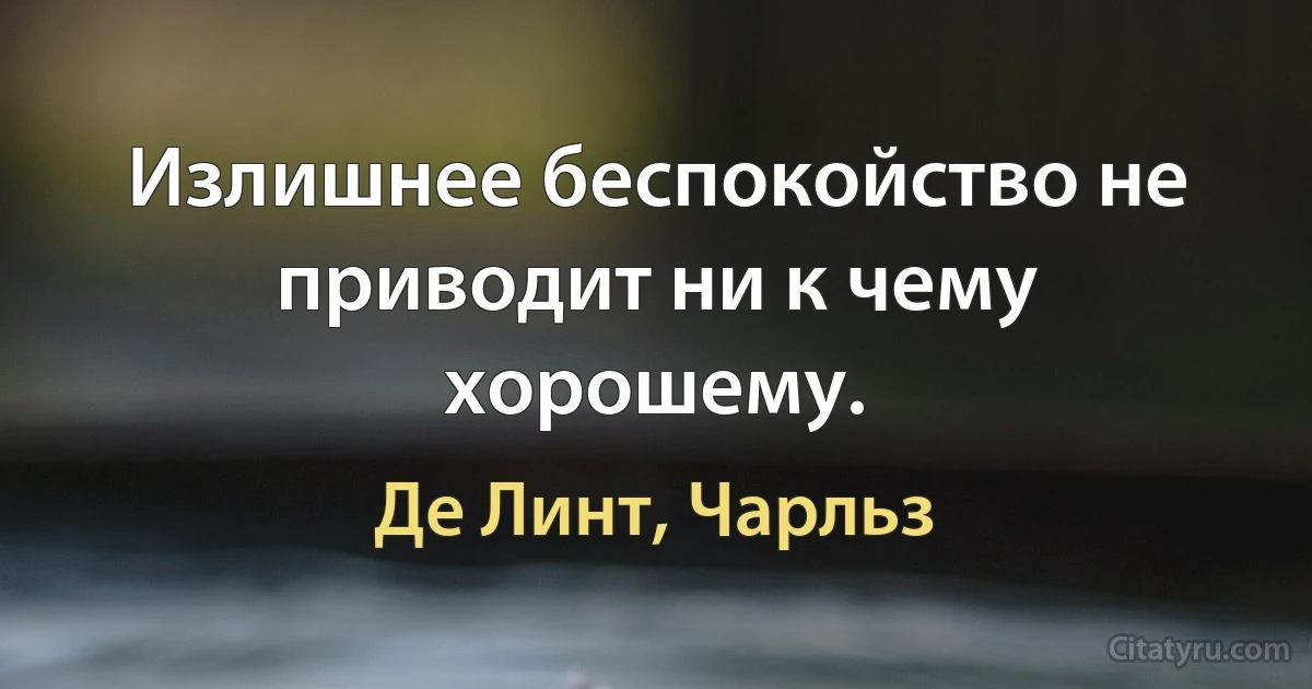 Излишнее беспокойство не приводит ни к чему хорошему. (Де Линт, Чарльз)