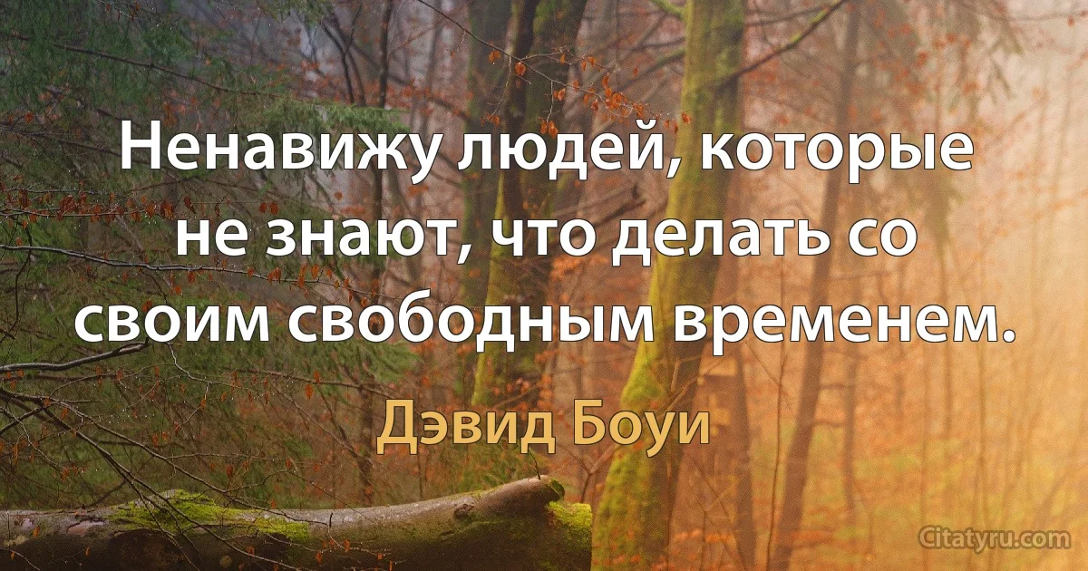 Ненавижу людей, которые не знают, что делать со своим свободным временем. (Дэвид Боуи)