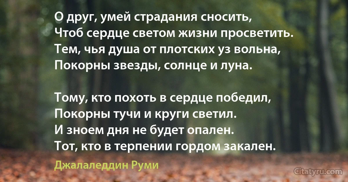 О друг, умей страдания сносить,
Чтоб сердце светом жизни просветить.
Тем, чья душа от плотских уз вольна,
Покорны звезды, солнце и луна.

Тому, кто похоть в сердце победил,
Покорны тучи и круги светил.
И зноем дня не будет опален.
Тот, кто в терпении гордом закален. (Джалаледдин Руми)