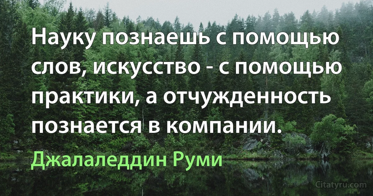 Науку познаешь с помощью слов, искусство - с помощью практики, а отчужденность познается в компании. (Джалаледдин Руми)