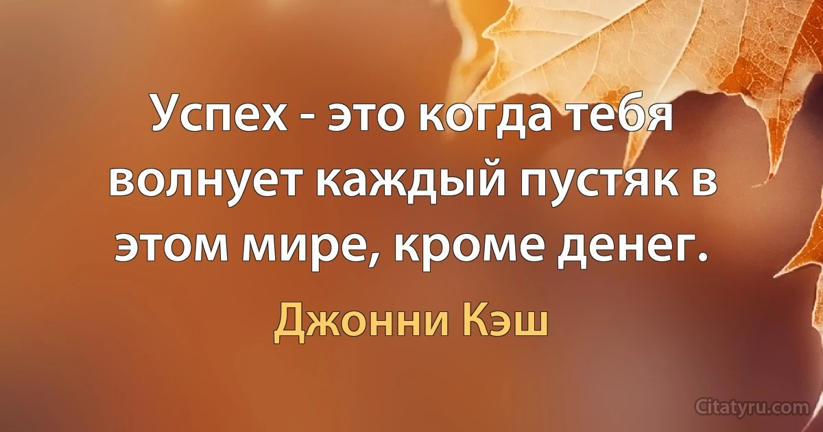 Успех - это когда тебя волнует каждый пустяк в этом мире, кроме денег. (Джонни Кэш)