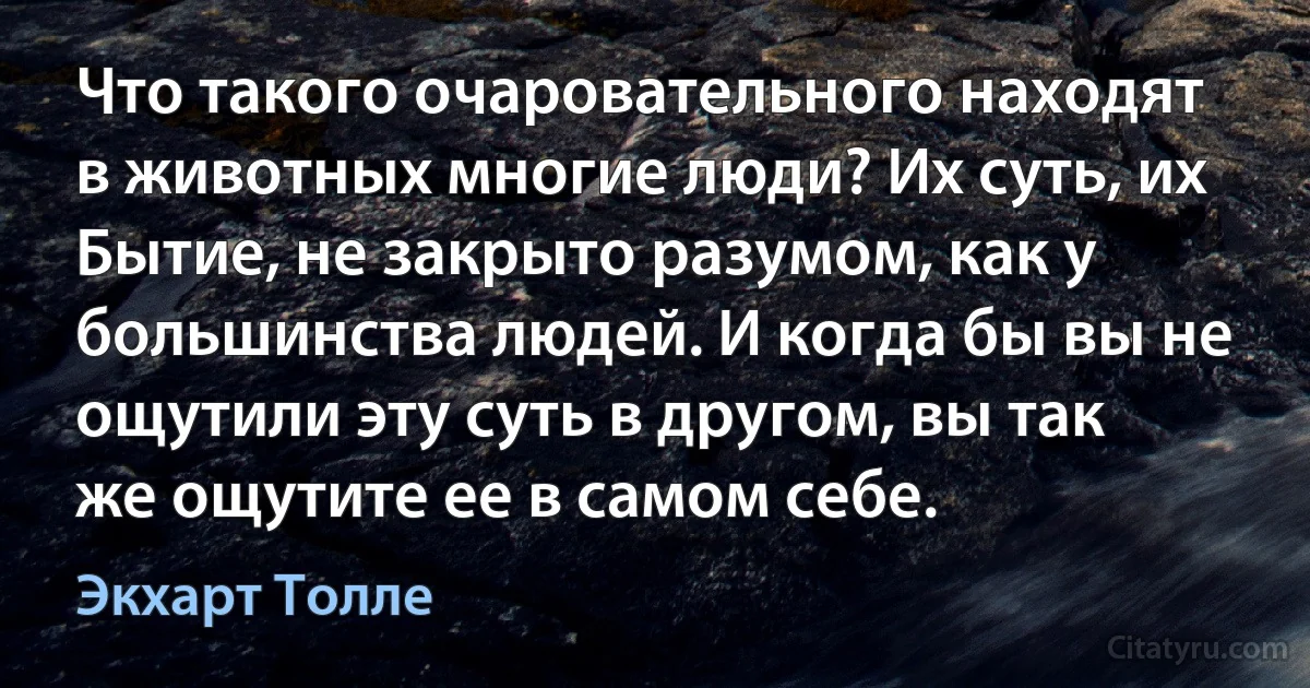 Что такого очаровательного находят в животных многие люди? Их суть, их Бытие, не закрыто разумом, как у большинства людей. И когда бы вы не ощутили эту суть в другом, вы так же ощутите ее в самом себе. (Экхарт Толле)