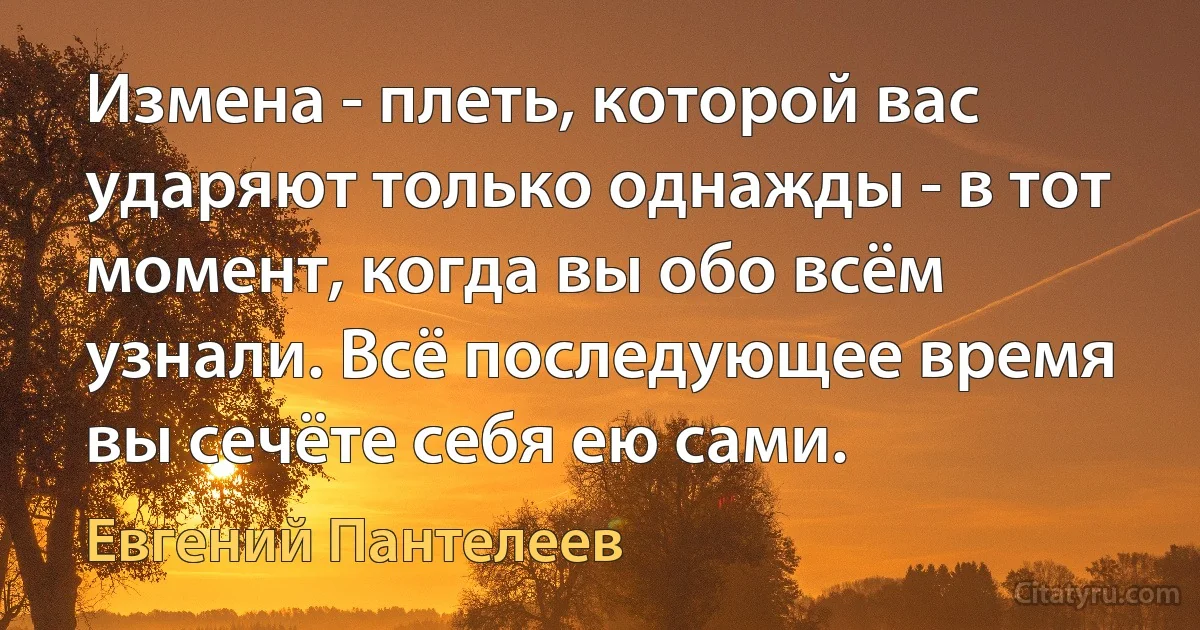 Измена - плеть, которой вас ударяют только однажды - в тот момент, когда вы обо всём узнали. Всё последующее время вы сечёте себя ею сами. (Евгений Пантелеев)