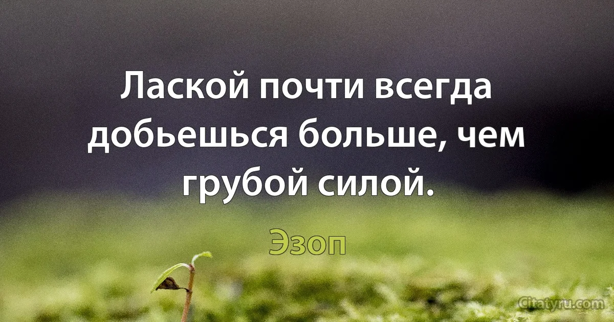 Лаской почти всегда добьешься больше, чем грубой силой. (Эзоп)