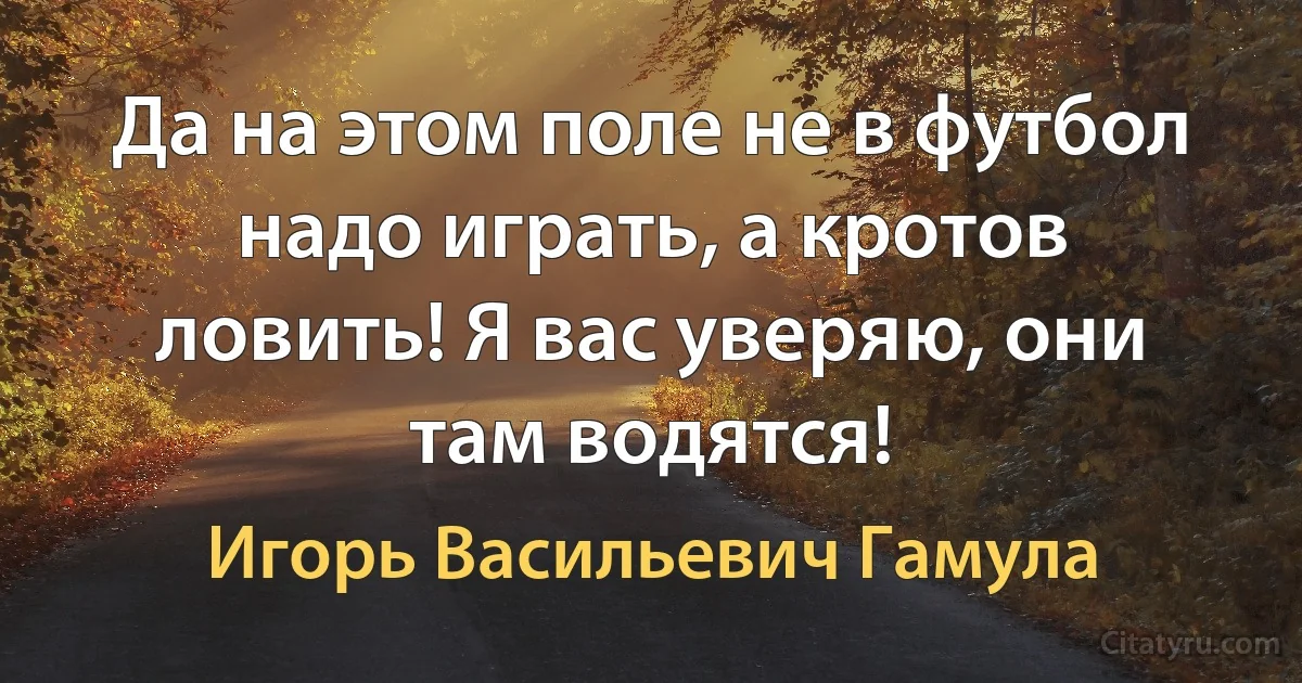 Да на этом поле не в футбол надо играть, а кротов ловить! Я вас уверяю, они там водятся! (Игорь Васильевич Гамула)