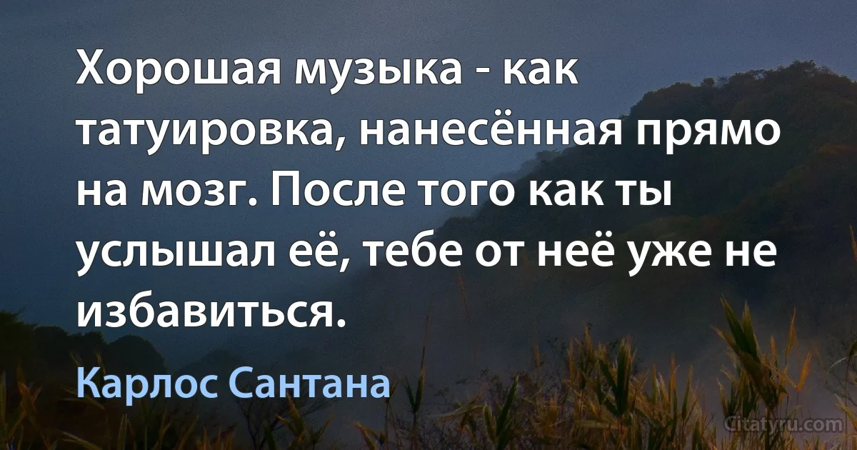 Хорошая музыка - как татуировка, нанесённая прямо на мозг. После того как ты услышал её, тебе от неё уже не избавиться. (Карлос Сантана)