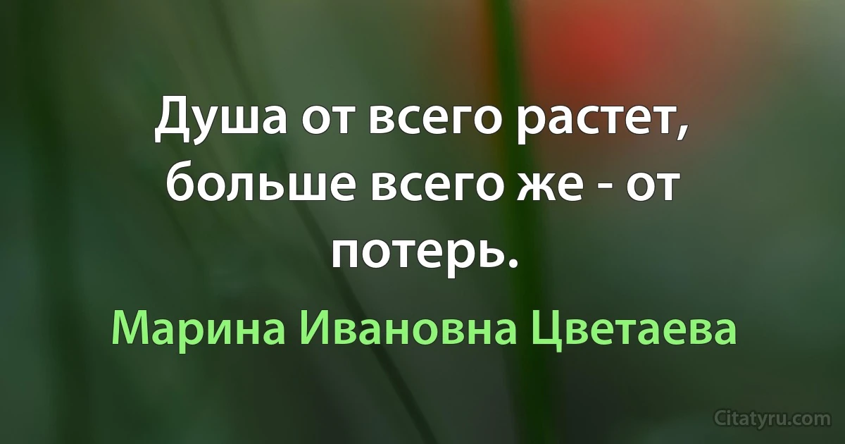 Душа от всего растет, больше всего же - от потерь. (Марина Ивановна Цветаева)