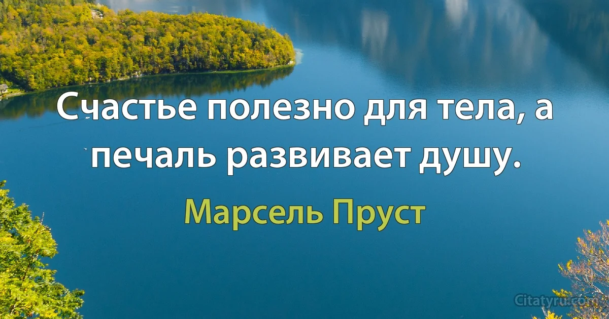 Счастье полезно для тела, а печаль развивает душу. (Марсель Пруст)