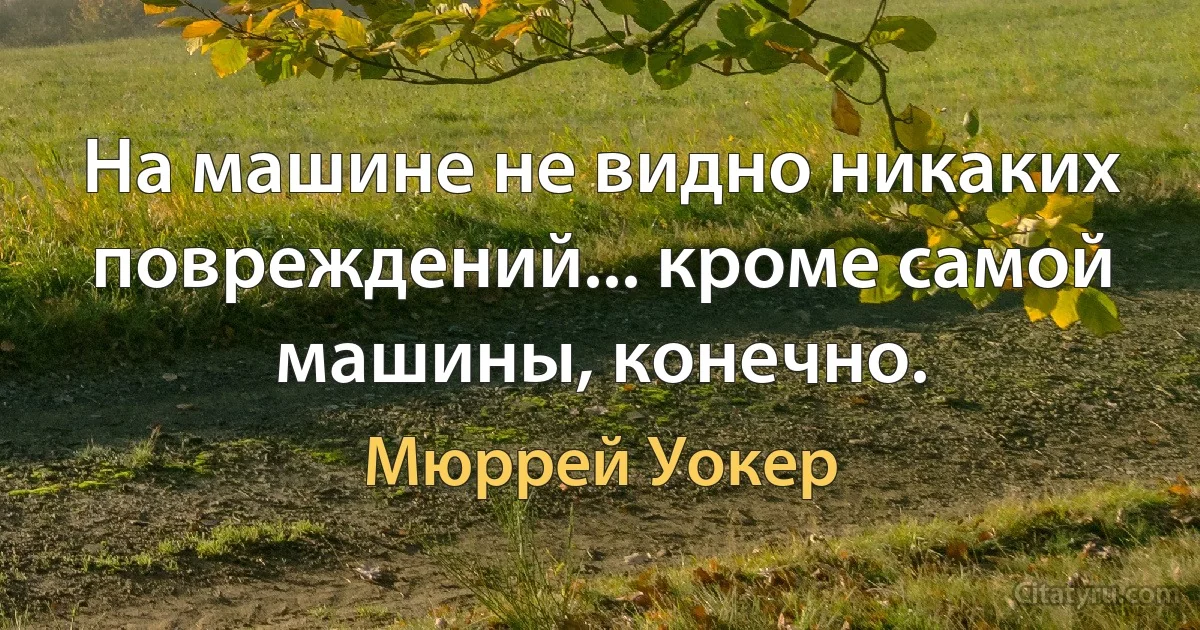 На машине не видно никаких повреждений... кроме самой машины, конечно. (Мюррей Уокер)