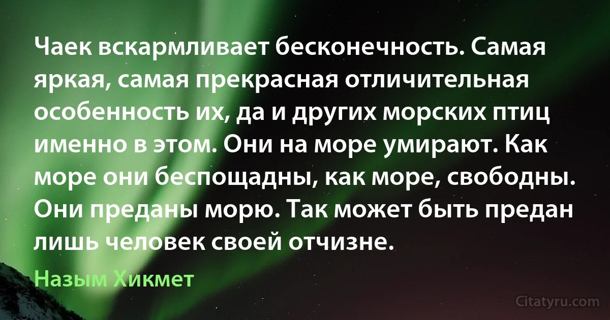 Чаек вскармливает бесконечность. Самая яркая, самая прекрасная отличительная особенность их, да и других морских птиц именно в этом. Они на море умирают. Как море они беспощадны, как море, свободны. Они преданы морю. Так может быть предан лишь человек своей отчизне. (Назым Хикмет)