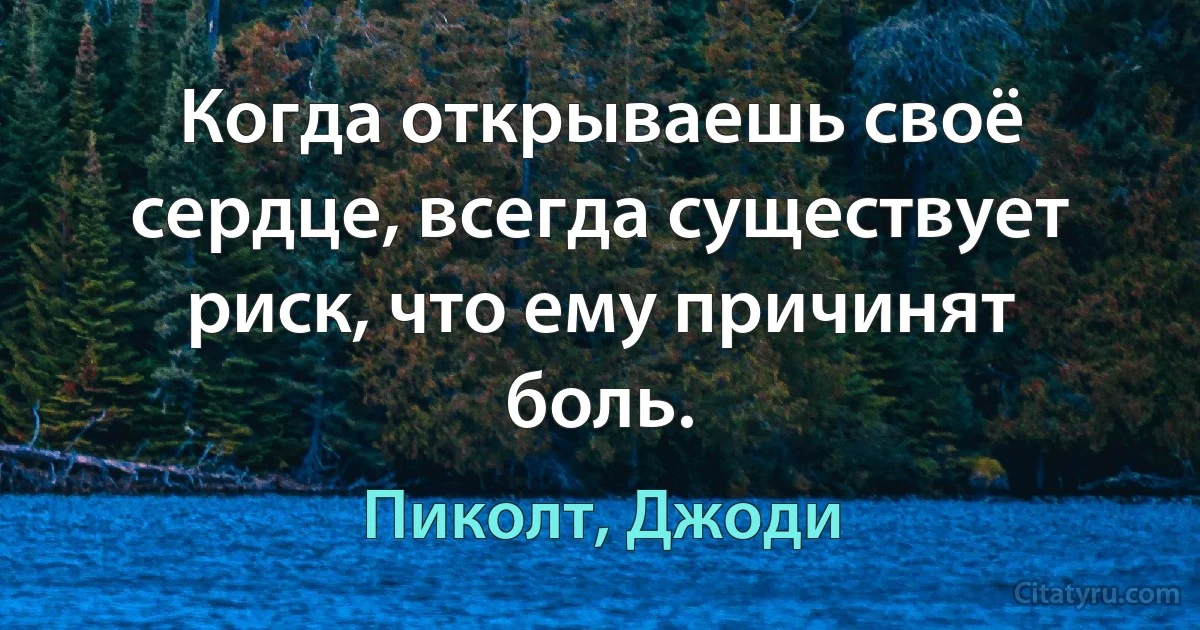 Когда открываешь своё сердце, всегда существует риск, что ему причинят боль. (Пиколт, Джоди)