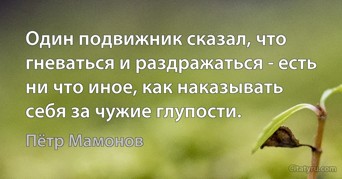 Один подвижник сказал, что гневаться и раздражаться - есть ни что иное, как наказывать себя за чужие глупости. (Пётр Мамонов)