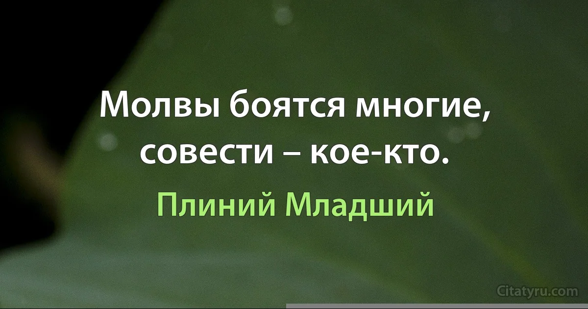 Молвы боятся многие, совести – кое-кто. (Плиний Младший)