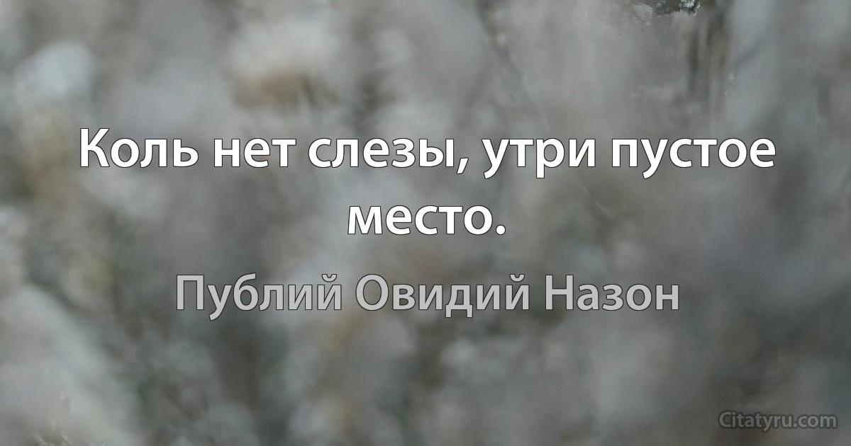 Коль нет слезы, утри пустое место. (Публий Овидий Назон)