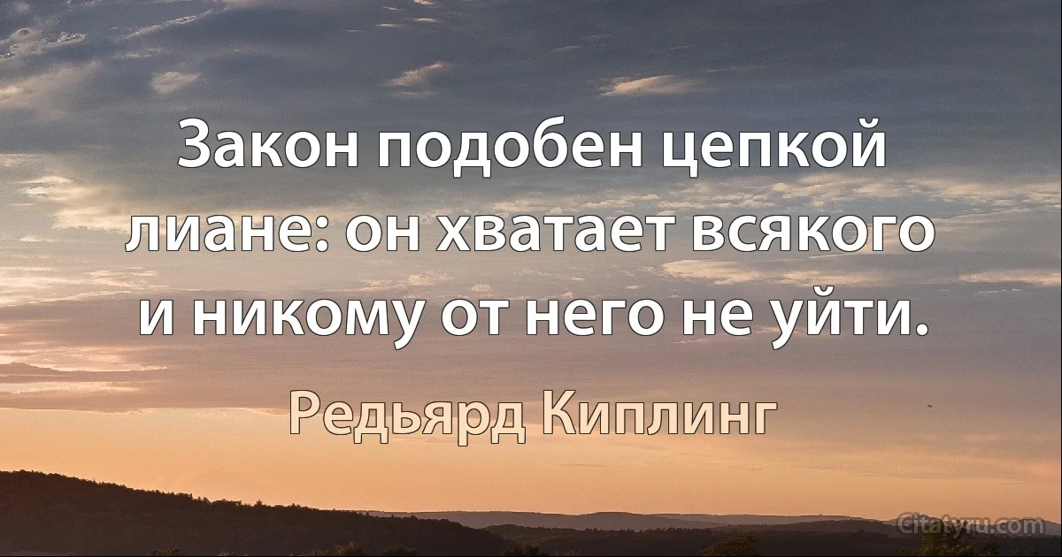 Закон подобен цепкой лиане: он хватает всякого и никому от него не уйти. (Редьярд Киплинг)