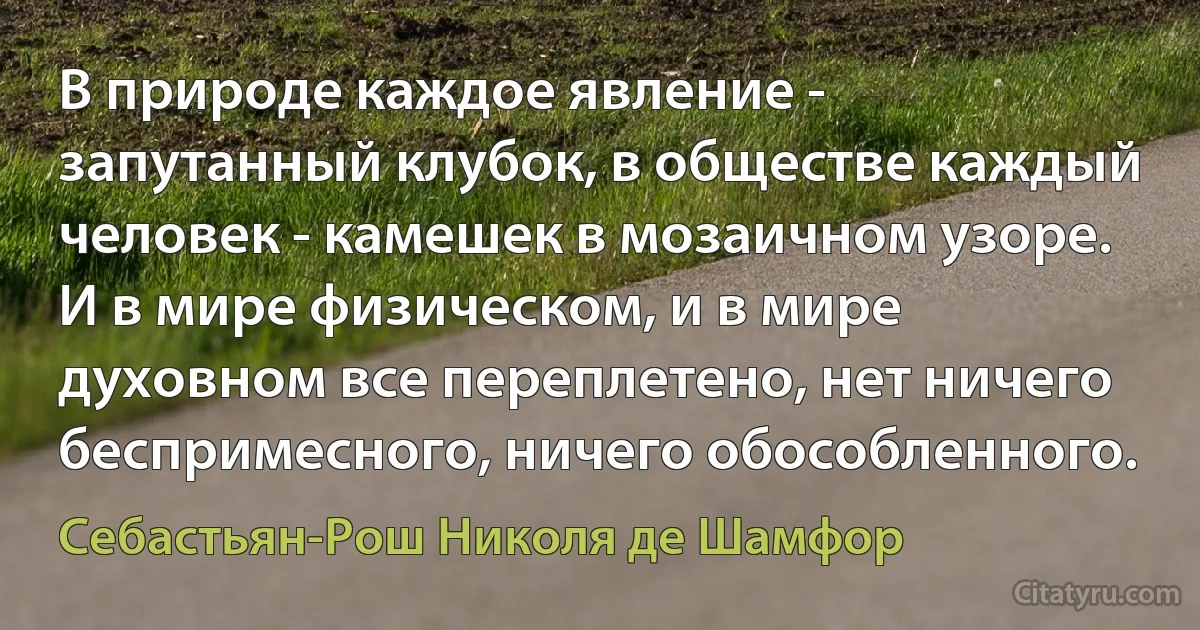 В природе каждое явление - запутанный клубок, в обществе каждый человек - камешек в мозаичном узоре. И в мире физическом, и в мире духовном все переплетено, нет ничего беспримесного, ничего обособленного. (Себастьян-Рош Николя де Шамфор)